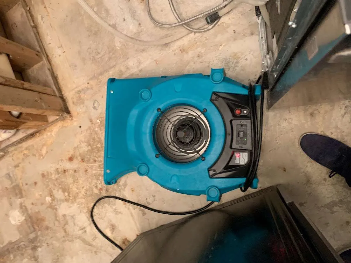 Air mover drying equipment for Mold Remediation & Removal in Buxton